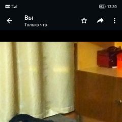 Подробнее об объявлении «Пропала собака кобель чарли, в лесу в д осцы Осташков» Фото: пропала собака  «Пропала собака кобель чарли, в лесу в д осцы...» в г. Осташков
