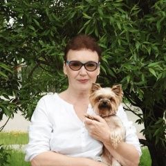 Подробнее об объявлении «Урай Пропала собака возле юбилейного» Фото: пропала собака Йоркширский терьер «Урай Пропала собака возле юбилейного» в г. Урай