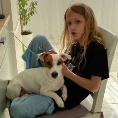 Подробнее об объявлении «Краснодар Пропала собака кобель джек рассел боб» Фото: пропала собака Джек рассел терьер «Краснодар Пропала собака кобель джек рассел боб» в г. Краснодар