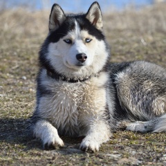 ����: ������� ������ ��������� ����� �������� ������ �������� ����� ������������ � �. ������������