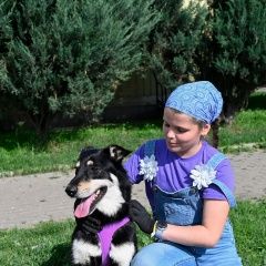 Подробнее об объявлении «Обнинск Пропала собака кобель поляков андрей иванович» Фото: пропала собака  «Обнинск Пропала собака кобель поляков андрей...» в г. Обнинск