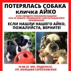 Подробнее об объявлении «Подольск Пропала собака кобель» Фото: пропала собака Ши-тцу «Подольск Пропала собака кобель» в г. Подольск