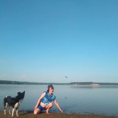 Подробнее об объявлении «Новосибирск Пропала собака кобель.» Фото: пропала собака  «Новосибирск Пропала собака кобель.» в г. Новосибирск