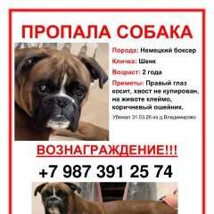 ����: ������� ������ ������ ���� ������� ������ � �. ���