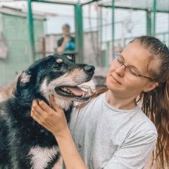 Подробнее об объявлении «Обнинск Пропала собака кобель ищем» Фото: пропала собака  «Обнинск Пропала собака кобель ищем» в г. Обнинск