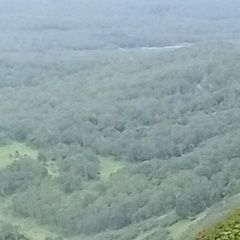 Подробнее об объявлении «Елизово (Камчатская обл.) Пропала собака, кличка белка» Фото: пропала собака  «Елизово (Камчатская обл.) Пропала собака,...» в г. Елизово (Камчатская обл.)