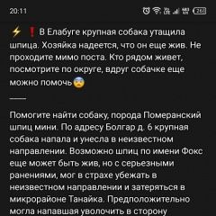Подробнее об объявлении «Пропала собака кобель Елабуга» Фото: пропала собака Померанский шпиц «Пропала собака кобель Елабуга» в г. Елабуга