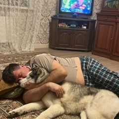 Подробнее об объявлении «Тула Пропала собака кобель» Фото: пропала собака  «Тула Пропала собака кобель» в г. Тула