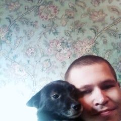 Подробнее об объявлении «Пропала собака кобель завут феликс в районе ту Ленинск-Кузнецкий» Фото: пропала собака  «Пропала собака кобель завут феликс в районе ту...» в г. Ленинск-Кузнецкий