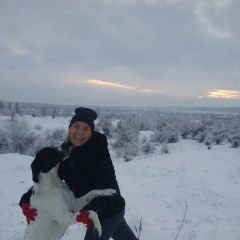 Подробнее об объявлении «Артемовск (ДНР) Пропала собака кобель черно-белый курцхаар» Фото: пропала собака Курцхаар «Артемовск (ДНР) Пропала собака кобель...» в г. Артемовск (ДНР)