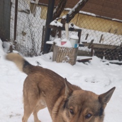 ���� ������� ������ ������