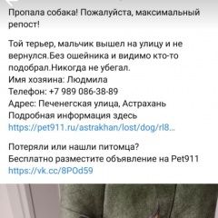 Подробнее об объявлении «Пропала собака кобель 23 февраля Астрахань» Фото: пропала собака Той-терьер «Пропала собака кобель 23 февраля Астрахань» в г. Астрахань