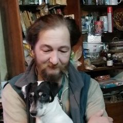 Подробнее об объявлении «Заокский Пропала собака джек рассел.» Фото: пропала собака  «Заокский Пропала собака джек рассел.» в г. Заокский