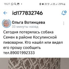 Подробнее об объявлении «Пропала собака кобель Нижний Тагил» Фото: пропала собака  «Пропала собака кобель Нижний Тагил» в г. Нижний Тагил