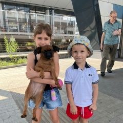 Подробнее об объявлении «Москва Пропала собака птибробансон» Фото: пропала собака Пти-брабансон «Москва Пропала собака птибробансон» в г. Москва