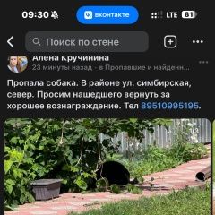 Подробнее об объявлении «Пропала собака, ул симбирская Ульяновск» Фото: пропала собака  «Пропала собака, ул симбирская Ульяновск» в г. Ульяновск