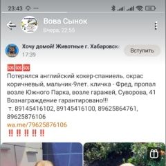 Подробнее об объявлении «Пропала собака кобель возможно урадена Хабаровск» Фото: пропала собака Английский кокер-спаниель «Пропала собака кобель возможно урадена Хабаровск» в г. Хабаровск