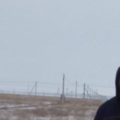 Подробнее об объявлении «Волжский (Волгоградская обл.) Пропала собака кобель» Фото: пропала собака  «Волжский (Волгоградская обл.) Пропала собака...» в г. Волжский (Волгоградская обл.)