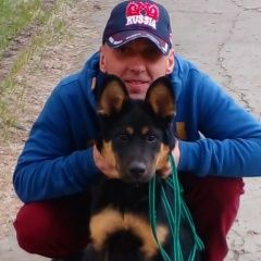 Подробнее об объявлении «Челябинск Пропала собака кобель помогите найти» Фото: пропала собака  «Челябинск Пропала собака кобель помогите найти» в г. Челябинск