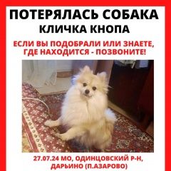 Подробнее об объявлении «Пропала собака звоните в любое время Одинцово» Фото: пропала собака Померанский шпиц «Пропала собака звоните в любое время Одинцово» в г. Одинцово