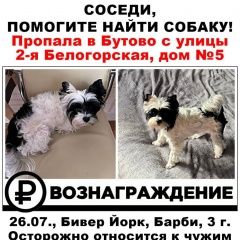 Подробнее об объявлении «Москва Пропала собака поиск продолжается» Фото: пропала собака Йоркширский терьер «Москва Пропала собака поиск продолжается» в г. Москва