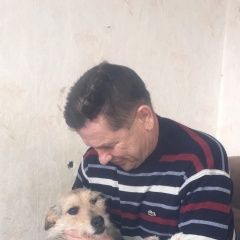 Подробнее об объявлении «Пропала собака дворняжка капа Таганрог» Фото: пропала собака  «Пропала собака дворняжка капа Таганрог» в г. Таганрог
