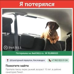 Подробнее об объявлении «Кисловодск Пропала собака» Фото: пропала собака Такса «Кисловодск Пропала собака» в г. Кисловодск