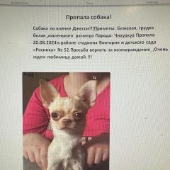 Подробнее об объявлении «Пропала собака помогите найти собаку Астрахань» Фото: пропала собака  «Пропала собака помогите найти собаку Астрахань» в г. Астрахань