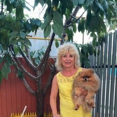 Подробнее об объявлении «Анапа Пропала собака черный лабрадор» Фото: пропала собака Лабрадор ретривер «Анапа Пропала собака черный лабрадор» в г. Анапа