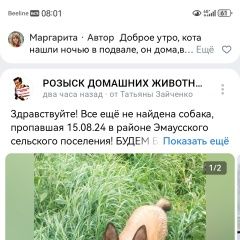 Подробнее об объявлении «Тверь Пропала собака» Фото: пропала собака  «Тверь Пропала собака» в г. Тверь