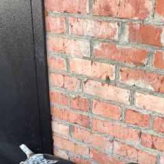 Подробнее об объявлении «Адыгейск Пропала собака кобель курцхаар, тахтамукай» Фото: пропала собака Курцхаар «Адыгейск Пропала собака кобель курцхаар,...» в г. Адыгейск