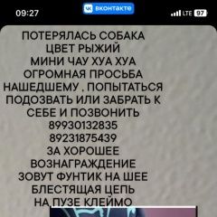 Подробнее об объявлении «Пропала собака кобель Новосибирск» Фото: пропала собака Чихуахуа «Пропала собака кобель Новосибирск» в г. Новосибирск