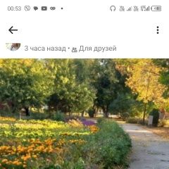 Подробнее об объявлении «Балаково Пропала собака кобель» Фото: пропала собака Лабрадор ретривер «Балаково Пропала собака кобель» в г. Балаково