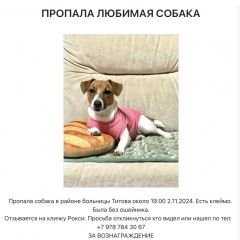 Подробнее об объявлении «Симферополь Пропала собака очень любим и ждём домой.» Фото: пропала собака Джек рассел терьер «Симферополь Пропала собака очень любим и ждём...» в г. Симферополь