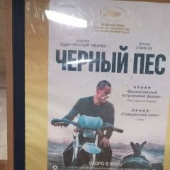 Подробнее об объявлении «Пропала собака кобель черныш, 10 лет, славянский бульвар Москва» Фото: пропала собака  «Пропала собака кобель черныш, 10 лет,...» в г. Москва