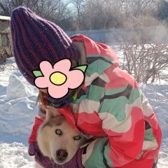 Подробнее об объявлении «Пропала собака хаски серебристая Чапаевск» Фото: пропала собака Сибирская хаски «Пропала собака хаски серебристая Чапаевск» в г. Чапаевск