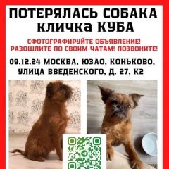 Подробнее об объявлении «Пропала собака брюссельский гриффон Москва» Фото: пропала собака Брюссельский гриффон «Пропала собака брюссельский гриффон Москва» в г. Москва