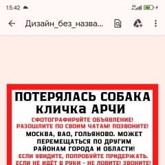 Подробнее об объявлении «Пропала собака Москва» Фото: пропала собака  «Пропала собака Москва» в г. Москва