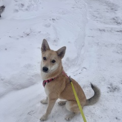 ����: ������� ������  ������� ������� ������ � �. ������