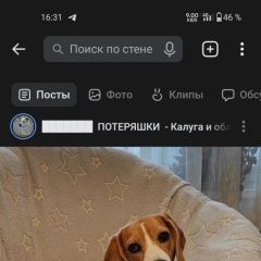 Подробнее об объявлении «Пропала собака бигль, девочка, джесси Калуга» Фото: пропала собака Бигль «Пропала собака бигль, девочка, джесси Калуга» в г. Калуга
