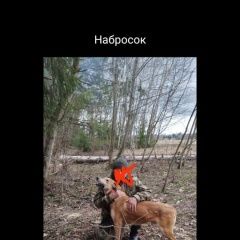 Подробнее об объявлении «Пропала собака кобель гончая русская Звенигород» Фото: пропала собака Гончая «Пропала собака кобель гончая русская Звенигород» в г. Звенигород