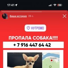 Подробнее об объявлении «Пропала собака максимальный репост Кимры» Фото: пропала собака Чихуахуа «Пропала собака максимальный репост Кимры» в г. Кимры