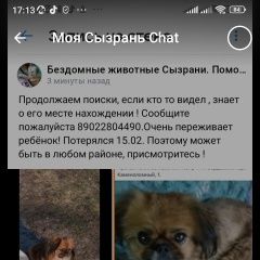Подробнее об объявлении «Пропала собака кобель помогите найти Сызрань» Фото: пропала собака Пекинес «Пропала собака кобель помогите найти Сызрань» в г. Сызрань