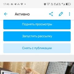 Подробнее об объявлении «Пропала собака помогите найти ребёнка нашего Верхняя Пышма» Фото: пропала собака  «Пропала собака помогите найти ребёнка нашего...» в г. Верхняя Пышма