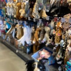 Подробнее об объявлении «Пропала собака Москва» Фото: пропала собака Австралийская овчарка «Пропала собака Москва» в г. Москва