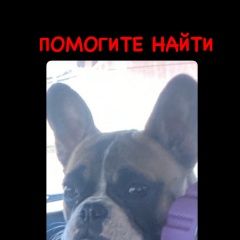 ����: ������� ������ ����������� ������� �������� ������ ������ ������������ ��������...� � �. �������