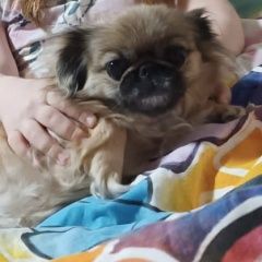 ����: ������� ������ ������� ������� ������� ������ �������� ����� � �. ������