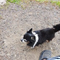 ����: ������� ������ �������� �������� ������ ������ ������� � �. �������