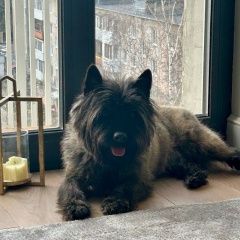 ����: ������� ������  �������� ������ ������ ������ � �. �����