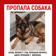 ����: ������� ������  �������� ������� ������ � �. �������